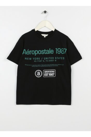 تیشرت مردانه آروپوستال Aeropostale با کد 5002979479