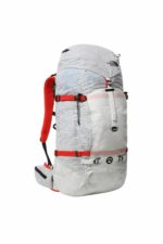 کوله پشتی زنانه نورث فیس The North Face با کد NF0A52D621W1