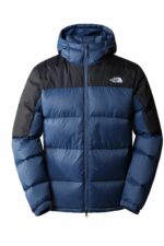 کاپشن مردانه نورث فیس The North Face با کد NF0A4M9LMPF1TH-127