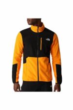 پولار مردانه نورث فیس The North Face با کد NF0A5IHSN7Q61