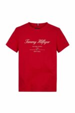 تیشرت مردانه تامی هیلفیگر Tommy Hilfiger با کد 5003119758