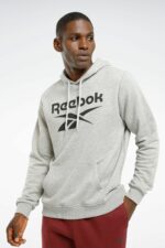 سویشرت مردانه ریبوک Reebok با کد RI FT Big Logo OTH