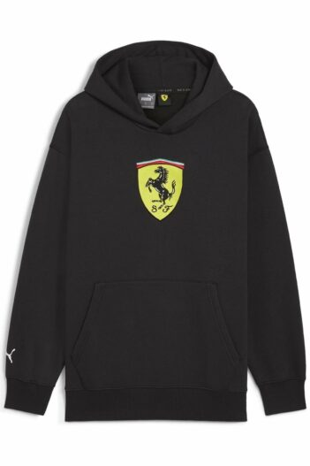 سویشرت مردانه پوما Puma با کد VSK-AST08031