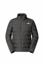 کت مردانه نورث فیس The North Face با کد NF0A84HZ0UZ1