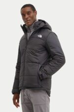 کاپشن مردانه نورث فیس The North Face با کد NF0A7ZIU4HF1