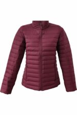 کاپشن زنانه نورث فیس The North Face با کد NF0A4P6ID4S1ND4SXS