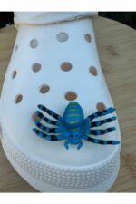 هدیه مفهومی  کراکس Crocs با کد bluespider