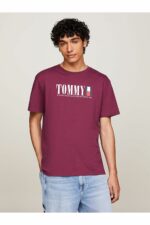 تیشرت مردانه تامی هیلفیگر Tommy Hilfiger با کد DM0DM18533VVK