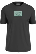 تیشرت مردانه کلوین کلاین Calvin Klein با کد K10K113110BEH