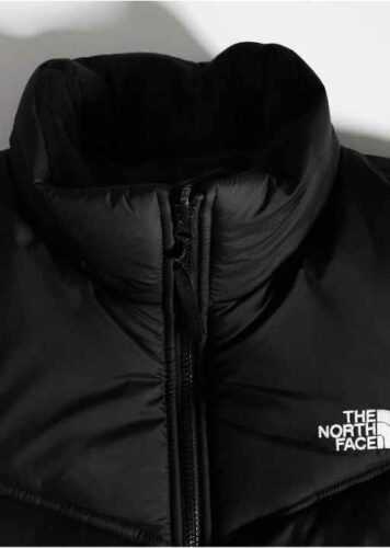 کاپشن مردانه نورث فیس The North Face اورجینال NF0A853IJK31 photo review