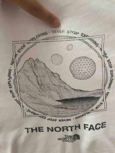 تیشرت زنانه نورث فیس The North Face اورجینال NF0A7R29FN41 photo review