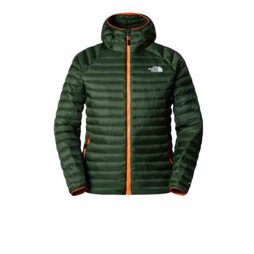 کاپشن مردانه نورث فیس The North Face اورجینال NF0A7Z8FI0P1 photo review