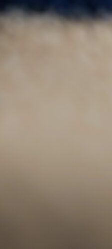 شورت و شلوارک پسرانه کوتون اورجینال 3SKB40034TD photo review